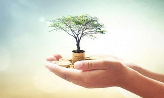 北京个人设计工作室注册与运营全攻略 开启您的专业设计服务之路