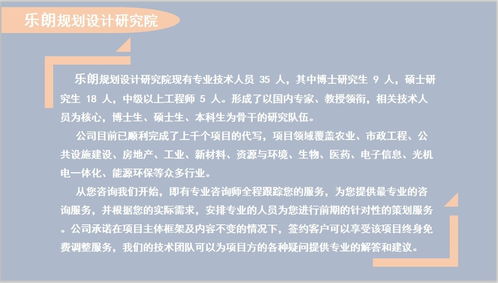 金安公司资金实施细则与微观指标分析专业设计服务